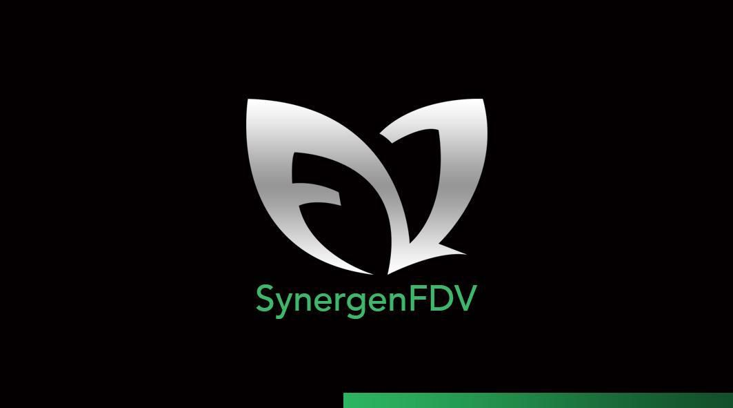 synonergyev and Fdz Ghana